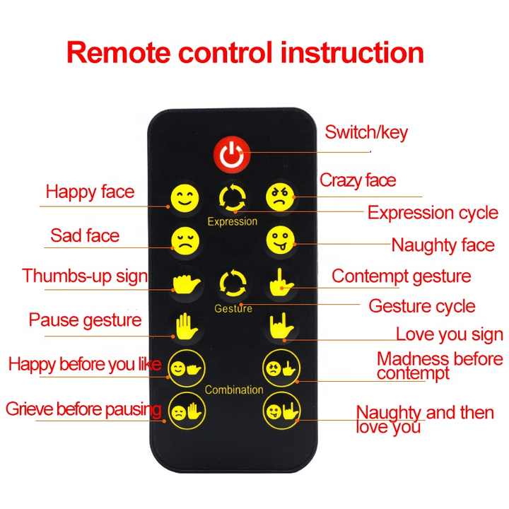 Car Fun emoji Gesture LED